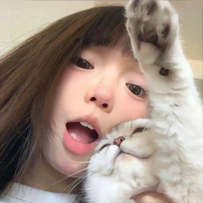 面包超人：梦猫王国的喵咪